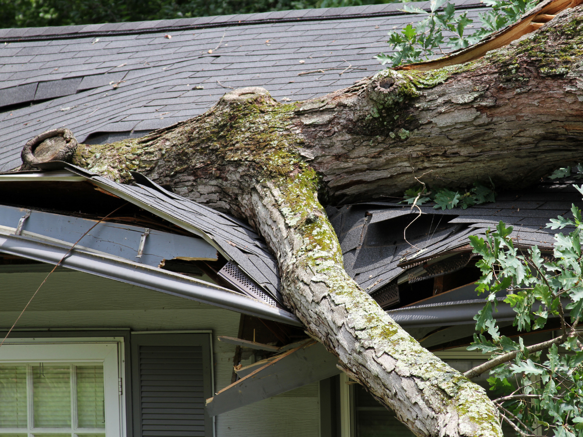 Tree fallen on a Canton, GA home roof needing storm damage repair